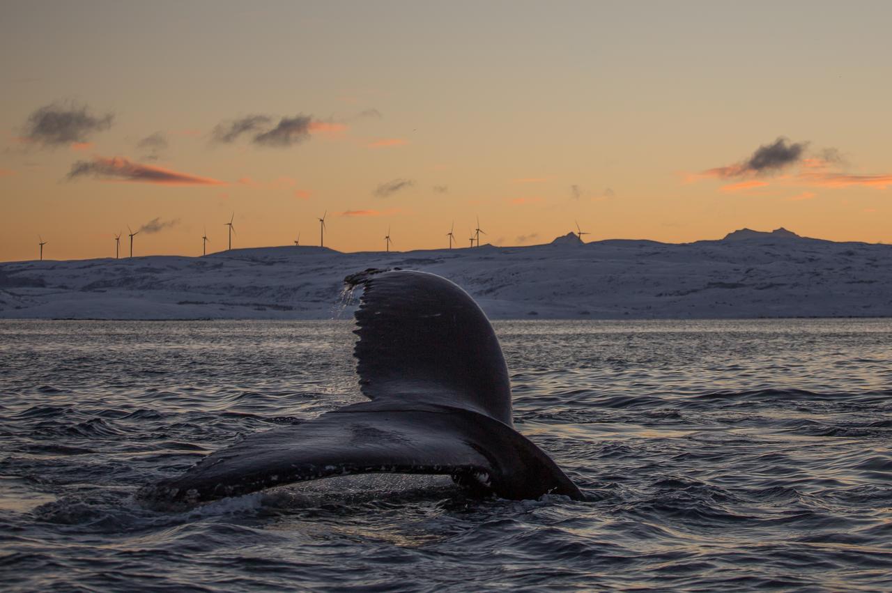 Vannoy Sport Og Havfiske * Vannvag