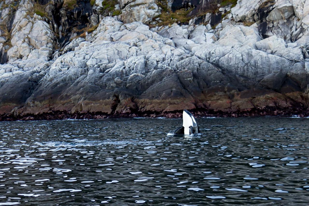 Vannoy Sport Og Havfiske Vannvag